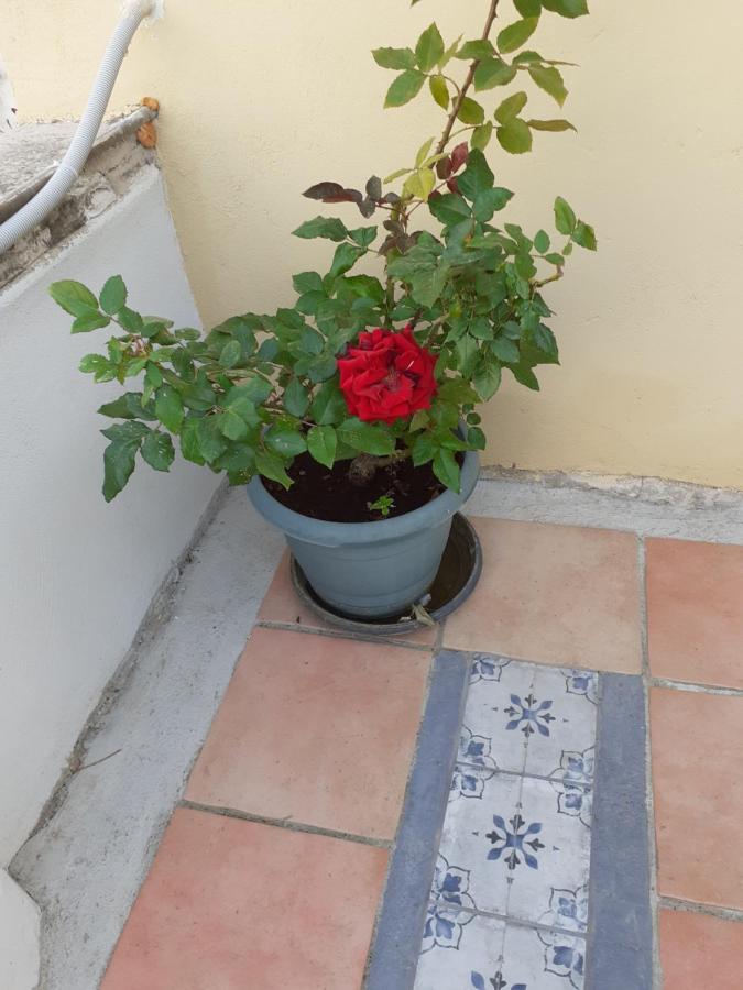 17 flats&Roof Garden Appartement Athene Buitenkant foto