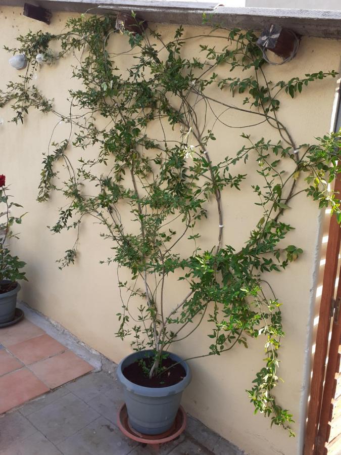 17 flats&Roof Garden Appartement Athene Buitenkant foto