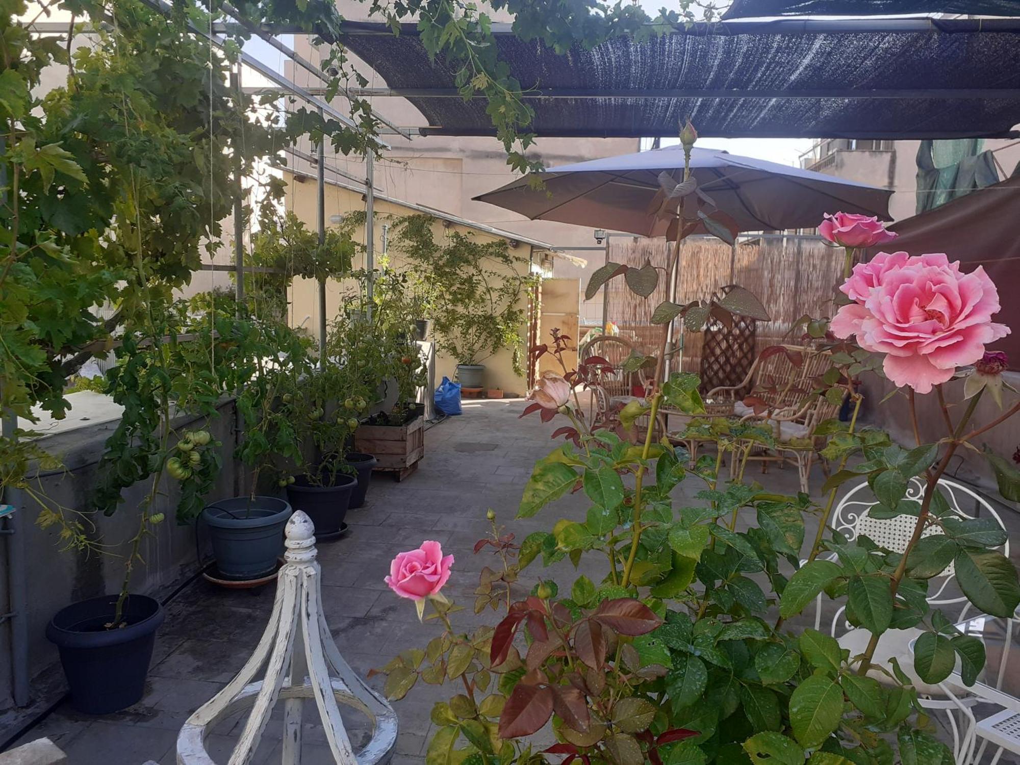 17 flats&Roof Garden Appartement Athene Buitenkant foto